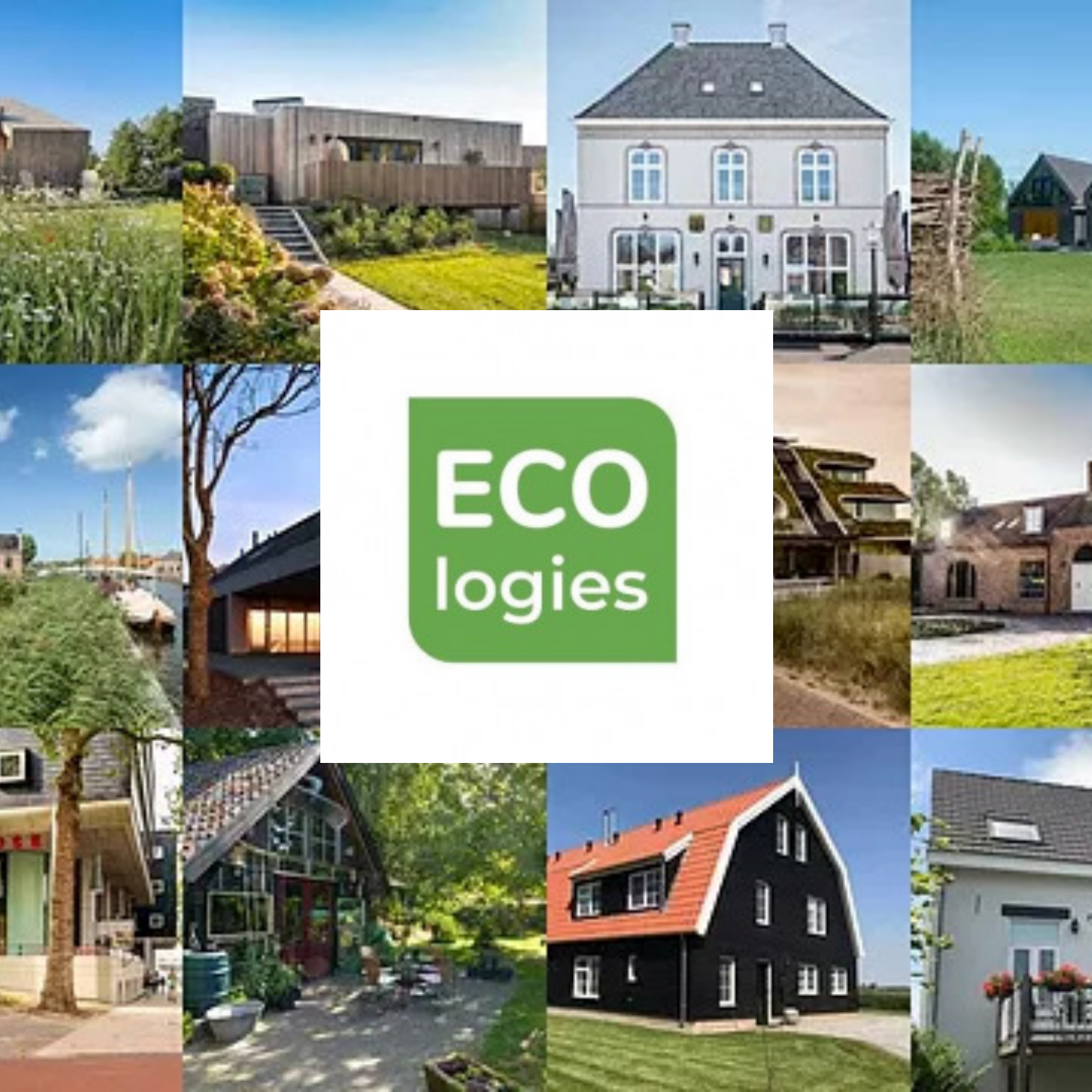 Logo from eco-logies